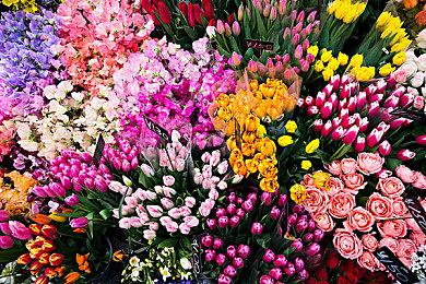 微软Game Pass服务订阅用户已超过2500万