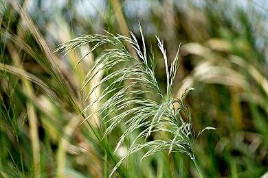 玩家自制《精灵宝可梦》第一世代重制版场景视频